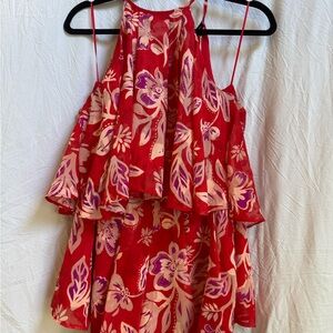 Vici Red and Purple Floral Dress